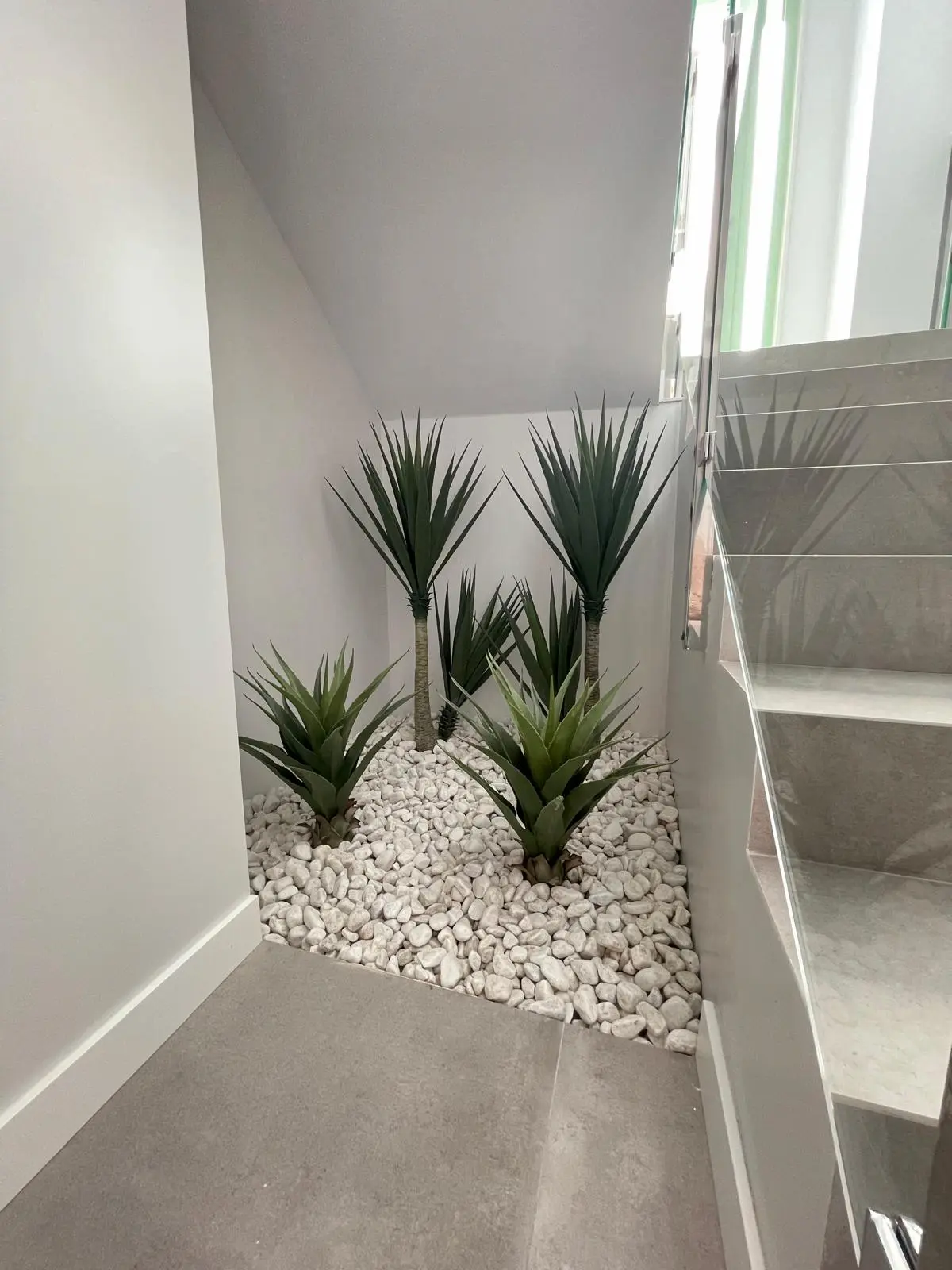 Jardín interior junto a las escaleras